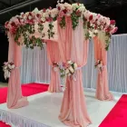 Business 3 image A WEDDING STORY Wedding & Portrait Photographers in Wellington City WGN