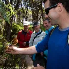 Business 2 image ABEL TASMAN ECO TOURS Tours & Sightseeing in Motueka Area NSN