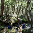 Business 3 image ABEL TASMAN ECO TOURS Tours & Sightseeing in Motueka Area NSN