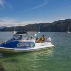 Business 4 image ABEL TASMAN ECO TOURS Tours & Sightseeing in Motueka Area NSN