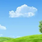 Business 1 image ACORN FINANCE LIMITED Investment Services in Auckland City AUK