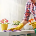 Business 1 image AFFORDABLE CLEAN TEAM LIMITED Vacuum Cleaning in Auckland NTL