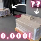 Business 1 image ALICE CINEMAS Online DVD Rental in Christchurch CAN