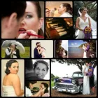 Business 5 image ALL OCCASIONS MAKEUP Weddings in Auckland NTL