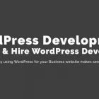 Business 2 image ALPHANSOTECH Website Development in Auckland NTL