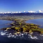 Business 8 image ALPINE-PACIFIC HOLIDAY PARK Holiday Parks & Camping Grounds in Kaikoura CAN