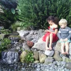 Business 1 image AQUATIC LIFESTYLES Water Gardens in Tauranga BOP