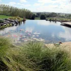 Business 4 image AQUATIC LIFESTYLES Water Gardens in Tauranga BOP