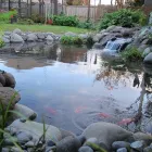 Business 5 image AQUATIC LIFESTYLES Water Gardens in Tauranga BOP
