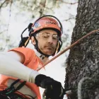 Business 2 image ARBORISTSNELSON.CO.NZ Tree Services in Nelson NSN