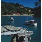 Business 9 image AUCKLAND CALENDARS Wall Calendar in Auckland NTL