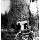Business 12 image AUCKLAND CALENDARS Wall Calendar in Auckland NTL
