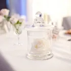 Business 1 image AUCKLAND WEDDING HIRE Wedding Supplies in Auckland NTL