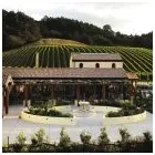 Business 1 image AUCKLAND WEDDINGS Auckland Weddings in Auckland NTL