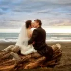 Business 2 image AUCKLAND WEDDINGS Auckland Weddings in Auckland NTL