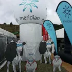 Business 5 image BALLOON PROMOTERS ADVERTISING INFLATABLES Inflatables in Hamilton WKO