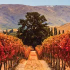 Business 4 image BAYLEYS REALTY GROUP Real Estate Agents Licensed in Auckland City AUK