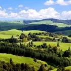 Business 8 image BAYLEYS REALTY GROUP Real Estate Agents Licensed in Auckland City AUK