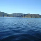 Business 1 image BAYTRAX RACEWAY Sports in Napier HKB