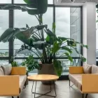 Business 6 image BIZDOJO - AUCKLAND, CIDER BUILDING Virtual Office Rental in Auckland NTL