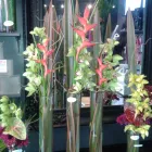 Business 5 image BLOOM FLOWERS Gifts in Queenstown Area OTA
