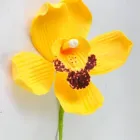 Business 5 image CAKEART4U Wedding Toppers in Te Puke BOP