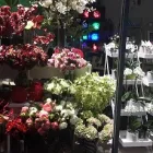 Business 2 image CENTRAL CITY FLOWERS Florists in Christchurch CAN