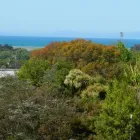 Business 4 image CHALETS @ TERRACED GARDENS Motels & Lodges in Motueka Area NSN