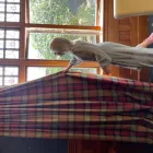 Business 10 image CHAMBERS DESIGN Wallpaper Supplier in Timaru CAN