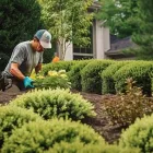 Business 1 image CHRISTCHURCHARTIFICIALGRASS Landscapers in Christchurch CAN