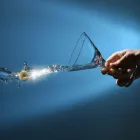 Business 1 image CLICK MEDIA Video Production & Distribution in Wellington City WGN