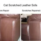 Business 15 image COLOR GLO INTERNATIONAL Vinyl Restoration in Auckland NTL