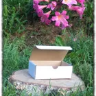 Business 3 image CORE BLIMEY Packaging - General in Papakura Area AUK