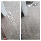Business 2 image COUNTIES PROPERTY CARE Stain Removal in Pukekohe Area AUK