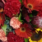 Business 3 image COUNTRY FLORAL & GIFTS Wedding Flower Arrangements in Papakura AUK