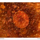 Business 2 image CREATIVE PHOTOGRAPHY WORKSHOPS - MIKE LANGFORD & JACKIE RANKEN Photography Workshops in Twizel CAN