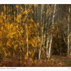 Business 4 image CREATIVE PHOTOGRAPHY WORKSHOPS - MIKE LANGFORD & JACKIE RANKEN Photography Workshops in Twizel CAN