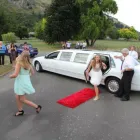Business 2 image DAVINE LIMOUSINES LTD Weddings in Christchurch CAN