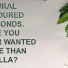 Business 4 image DIAMONDS DIRECT Jewellers & Watchmakers in Kerikeri NTL