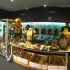 Business 2 image DIVE ZONE TAURANGA Retail Services in Tauranga BOP