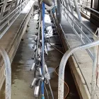 Business 2 image DRYMATTER MATTERS LTD Weekly Farm Walk in Christchurch CAN