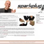 Business 3 image DYNAMIC WEB SOLUTIONS PTY LTD Website Designers in Auckland City AUK