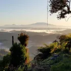Business 3 image EASTERN TARANAKI EXPERIENCE Tramping in Stratford Area TKI