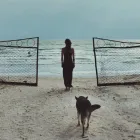 Business 1 image EDGESMITH Sliding Doors in Silverdale AUK