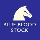 Business 3 image EVERYTHING DESIGN Website Designers in Auckland City AUK