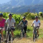 Business 2 image EXPLORE MARLBOROUGH Wine Tours by Bike in Blenheim MBH