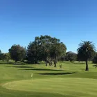 Business 2 image FEILDING GOLF CLUB Golf Courses in Feilding MWT