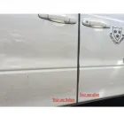 Business 9 image FIRST CLASS AUTO LTD. Paint Protection in Auckland NTL