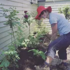 Business 2 image FLORIBUNDA GARDEN CARE Gardening Services in Auckland NTL