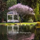 Business 1 image FOCUS ON PHOTOGRAPHY Wedding Photography in Tauranga BOP